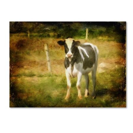 Lois Bryan 'Handsome Holstein' Canvas Art,18x24